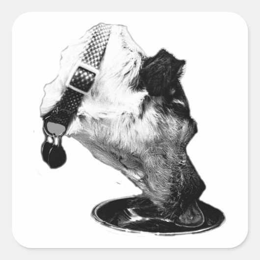 Dorstige Terrier Mix Vinyl Sticker (Voorkant)