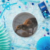 Dorsty Baby Papieren Bordje (Feest)