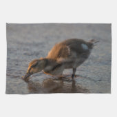 Dorsty Baby Theedoek (Horizontaal)