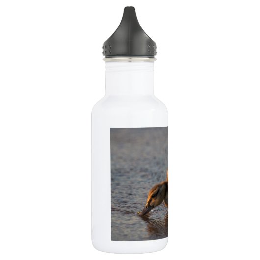 Dorsty Baby Waterfles (Links)