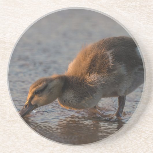 Dorsty Baby Zandsteen Onderzetter (Voorkant)