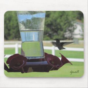 Dorsty Hummingbird and Feeder Muismat