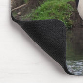 Dorsty Muismat (Hoek)