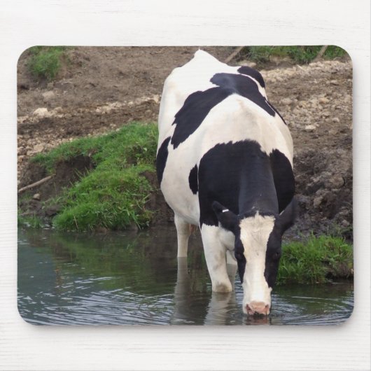 Dorsty Muismat (Voorkant)