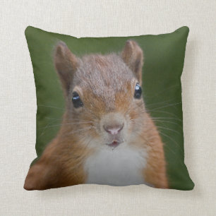 Dorsty Squirrel Pillow Kussen