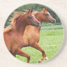 Dorsty Stone Onderzetter- 1 BOGO Kleuren