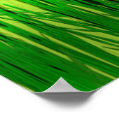 Dorsty Turtle Poster (Hoek)