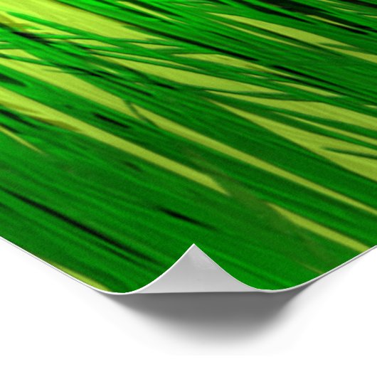 Dorsty Turtle Poster (Hoek)