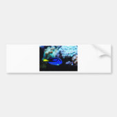Dory, Blue Tang Fish Bumpersticker (Voorkant)