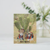 Dos Gatos Briefkaart (Staand voorkant)