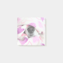 Dosis Nose Post it Notes
