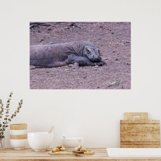  dosis poster (Keuken)