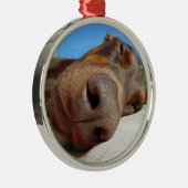 Dosisneus Metalen Ornament (Rechts)