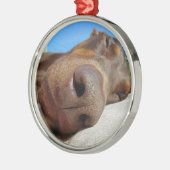 Dosisneus Metalen Ornament (Links)