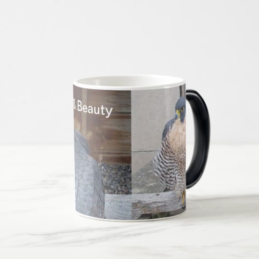 Dot.ca & Beauty-Mok Magische Mok (Voorkant rechts)