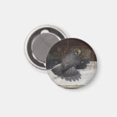 Dot.ca Magneet (Voorkant / Achterkant)