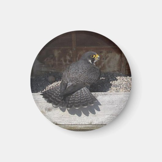 Dot.ca Magneet (Voorkant)