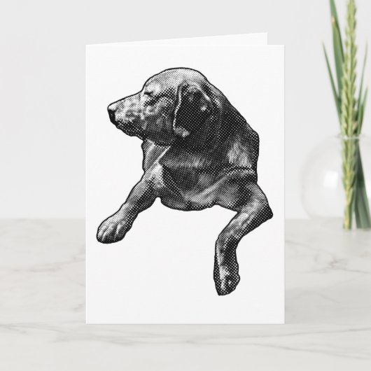 Dot-Soft Seizoen Notitie van een Lab Kaart (Voorkant)