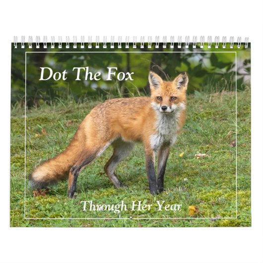 Dot the Fox Kalender (Hoes)