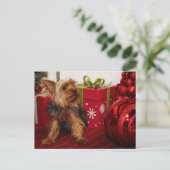 Dot - Yorkshire Terriër - Rodgers Feestdagenkaart (Staand voorkant)
