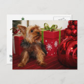 Dot - Yorkshire Terriër - Rodgers Feestdagenkaart (Voorkant / Achterkant)