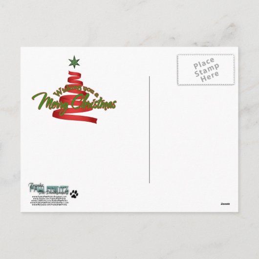 Dot - Yorkshire Terriër - Rodgers Feestdagenkaart (Achterkant)