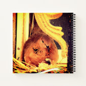 Doting Mama Dove Notitieboek (Achterkant)