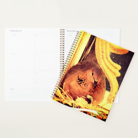 Doting Mama Dove Planner (Display)