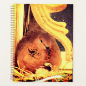 Doting Mama Dove Planner (Voorkant)