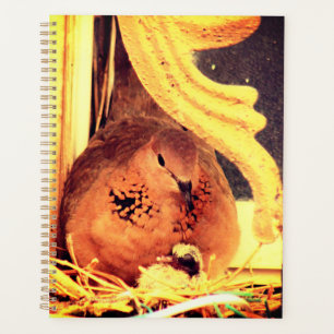 Doting Mama Dove Planner