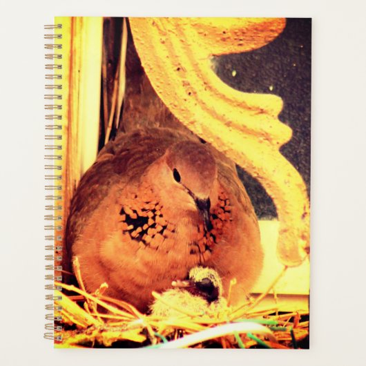 Doting Mama Dove Planner (Voorkant)