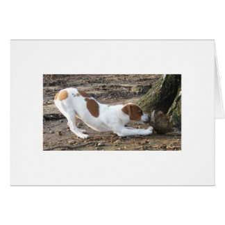 Dottie bij het spelen