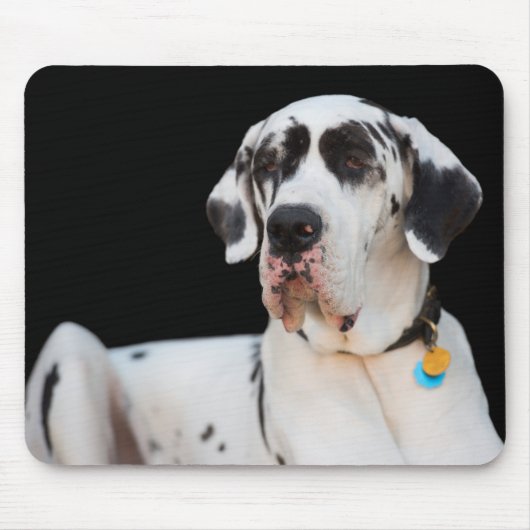 Dottie CrazyPants MousePad Muismat (Voorkant)
