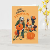Dotty Dog Dalmatische Verjaardag Pompoen Wenskaart Kaart (Gele Bloem)