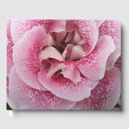 Dotty over jou gastenboek