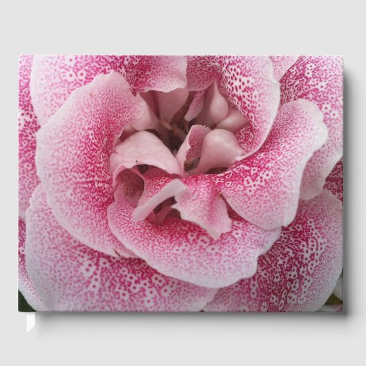 Dotty over jou gastenboek (Voorkant)