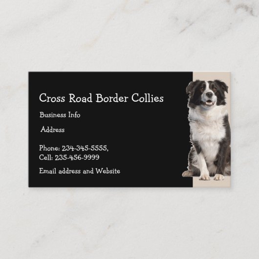 Douane-border collies Dog Pet Animal Logo Visitekaartje (Voorkant)