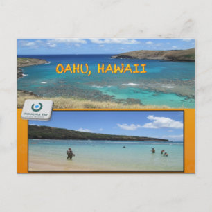 DOUANE BRIEFKAARTEN - HAWAII COLLAGE# 13