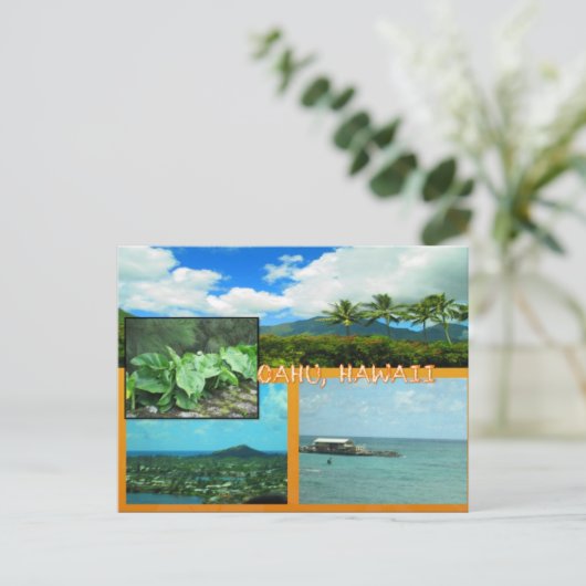 DOUANE BRIEFKAARTEN - HAWAII COLLAGE# 20 (Staand voorkant)