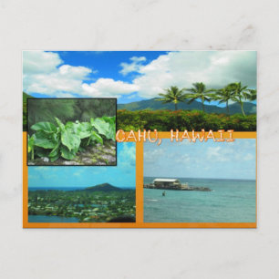 DOUANE BRIEFKAARTEN - HAWAII COLLAGE# 20