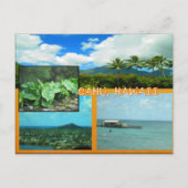 DOUANE BRIEFKAARTEN - HAWAII COLLAGE# 20 (Voorkant)