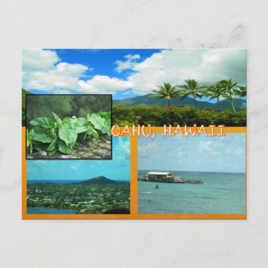 DOUANE BRIEFKAARTEN - HAWAII COLLAGE# 20 (Voorkant)