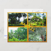 DOUANE BRIEFKAARTEN - HAWAII COLLAGE# 22 (Voorkant / Achterkant)