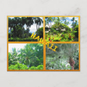 DOUANE BRIEFKAARTEN - HAWAII COLLAGE# 22 (Voorkant)