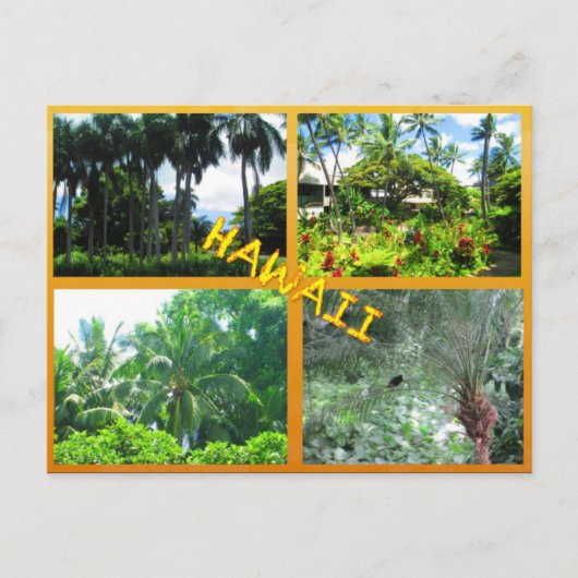 DOUANE BRIEFKAARTEN - HAWAII COLLAGE# 22 (Voorkant)