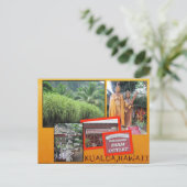 DOUANE BRIEFKAARTEN - HAWAII COLLAGE# 25 (Staand voorkant)