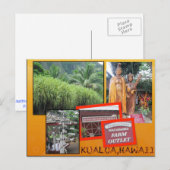 DOUANE BRIEFKAARTEN - HAWAII COLLAGE# 25 (Voorkant / Achterkant)