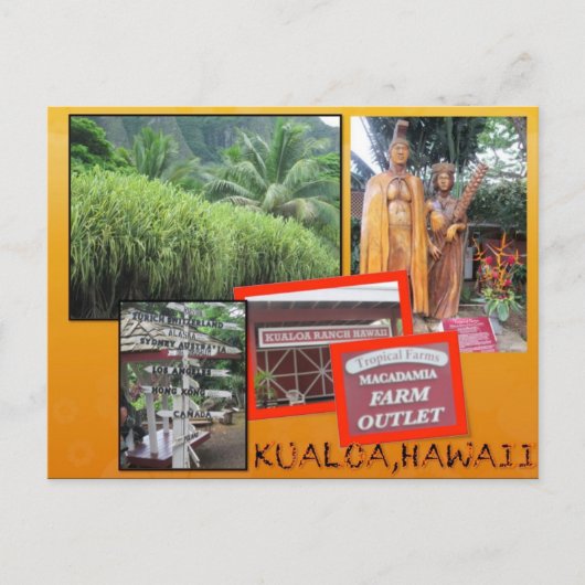DOUANE BRIEFKAARTEN - HAWAII COLLAGE# 25 (Voorkant)