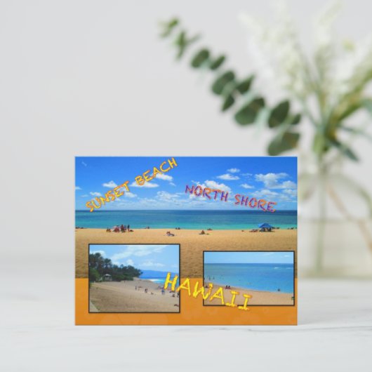 DOUANE BRIEFKAARTEN - HAWAII COLLAGE# 27 (Staand voorkant)