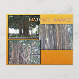DOUANE BRIEFKAARTEN - HAWAII COLLAGE# 4